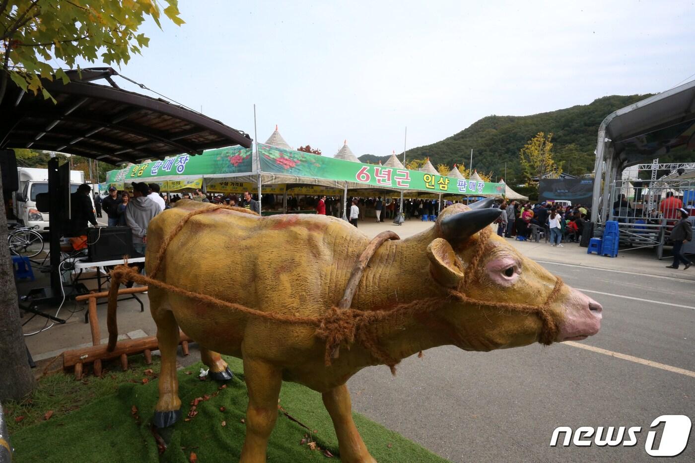 2019년 열린 ‘강원 홍천 인삼‧한우 명품축제’ 행사 사진.&#40;홍천군 제공&#41; 2022.9.27/뉴스1