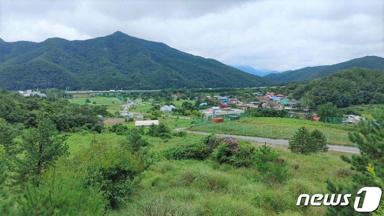 보은군 마로면 소재 구병산관광단지 전경. /뉴스1 장인수 기자