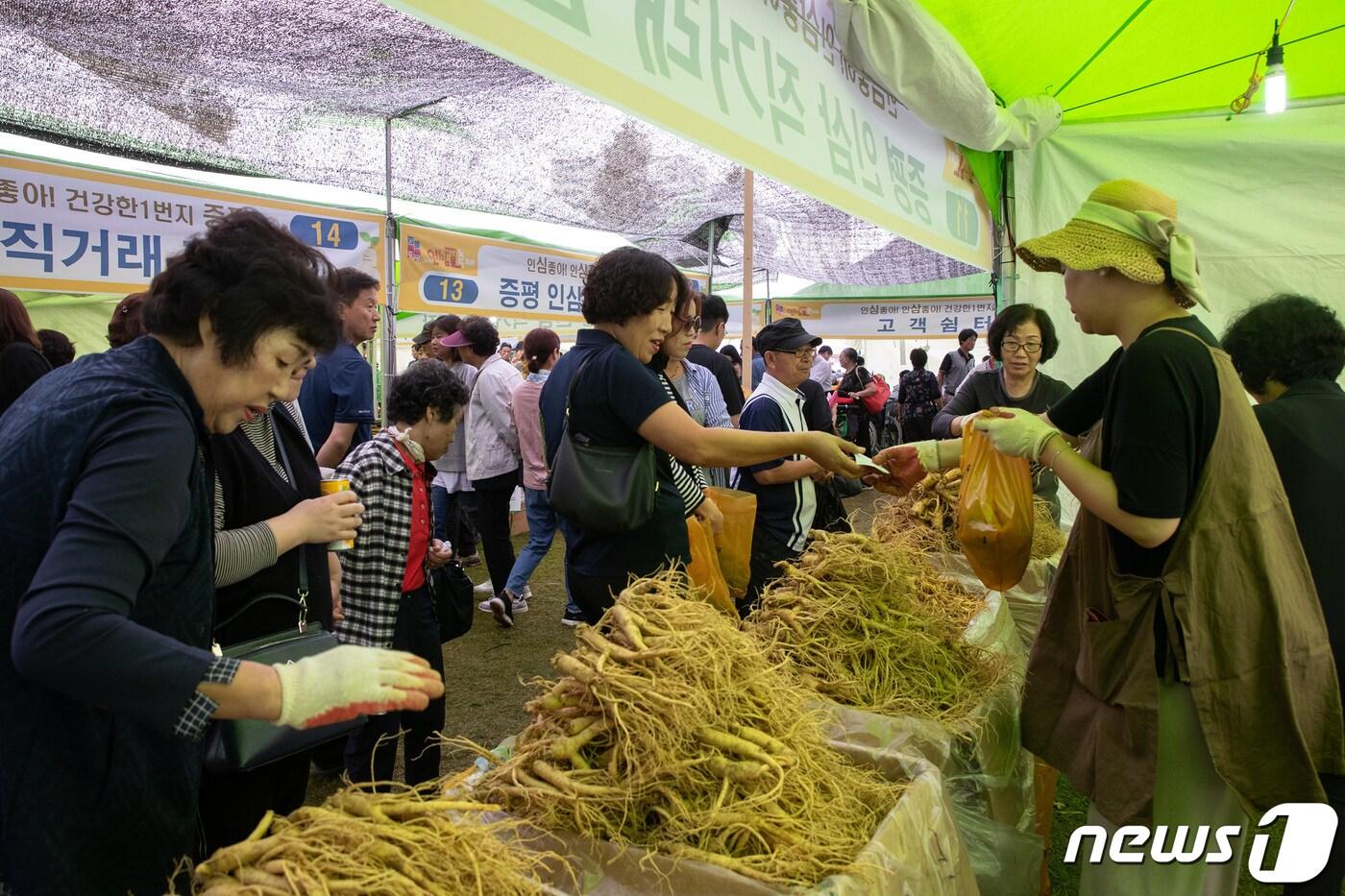 충북 증평군은 10월6일부터 나흘간 증평 보강천 체육공원 일원에서 증평인삼골축제를 개최한다.&#40;증평군 제공&#41;.2022.9.29/뉴스1