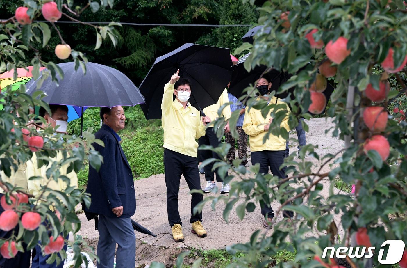 최훈식 장수군수가 5일 태풍 피해를 우려해 산사태 취약지, 과수원 등 안전사고가 우려되는 현장을 방문해 예찰활동을 하고 있다.&#40;장수군 제공&#41;2022.9.5./ⓒ 뉴스1