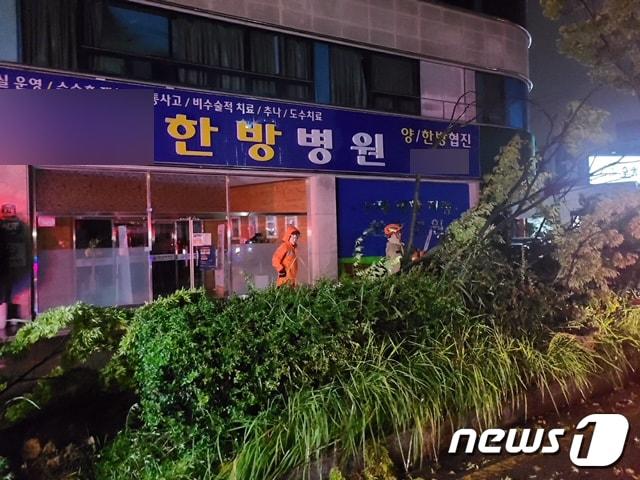 제11호 태풍 &#39;힌남노&#39;의 영향권에 든 6일 오전 광주 북구 삼각동 한 병원 앞 가로수가 전도돼 당국이 안전조치를 하고 있다.&#40;광주 북구 제공&#41; 2022.9.6/뉴스1 ⓒ News1