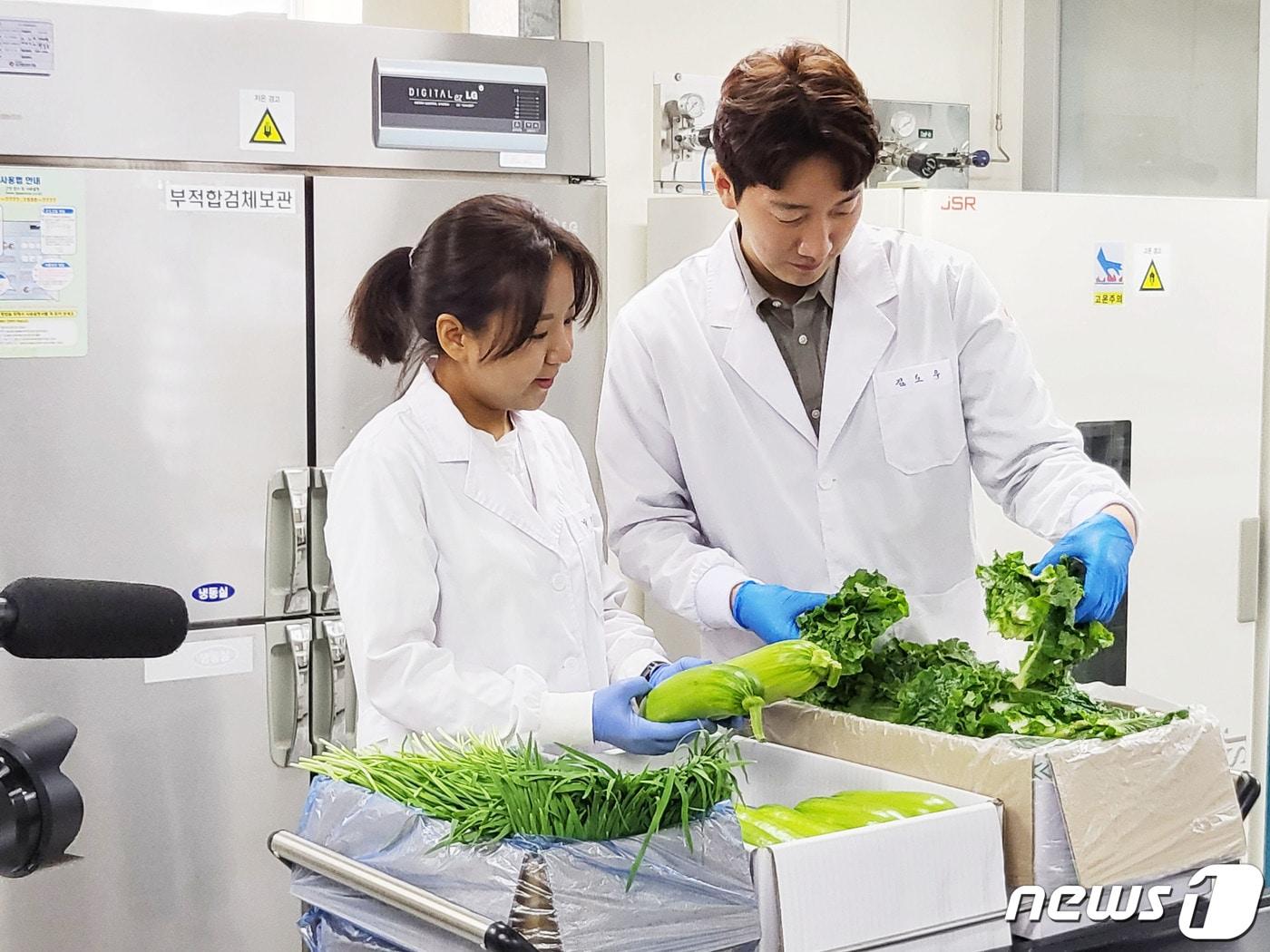 광주시 보건환경연구원 직원들이 농산물 잔류농약 안전성 검사를 실시하고 있다.&#40;광주시 제공&#41;2023.1.10/뉴스1 ⓒ News1 박준배 기자