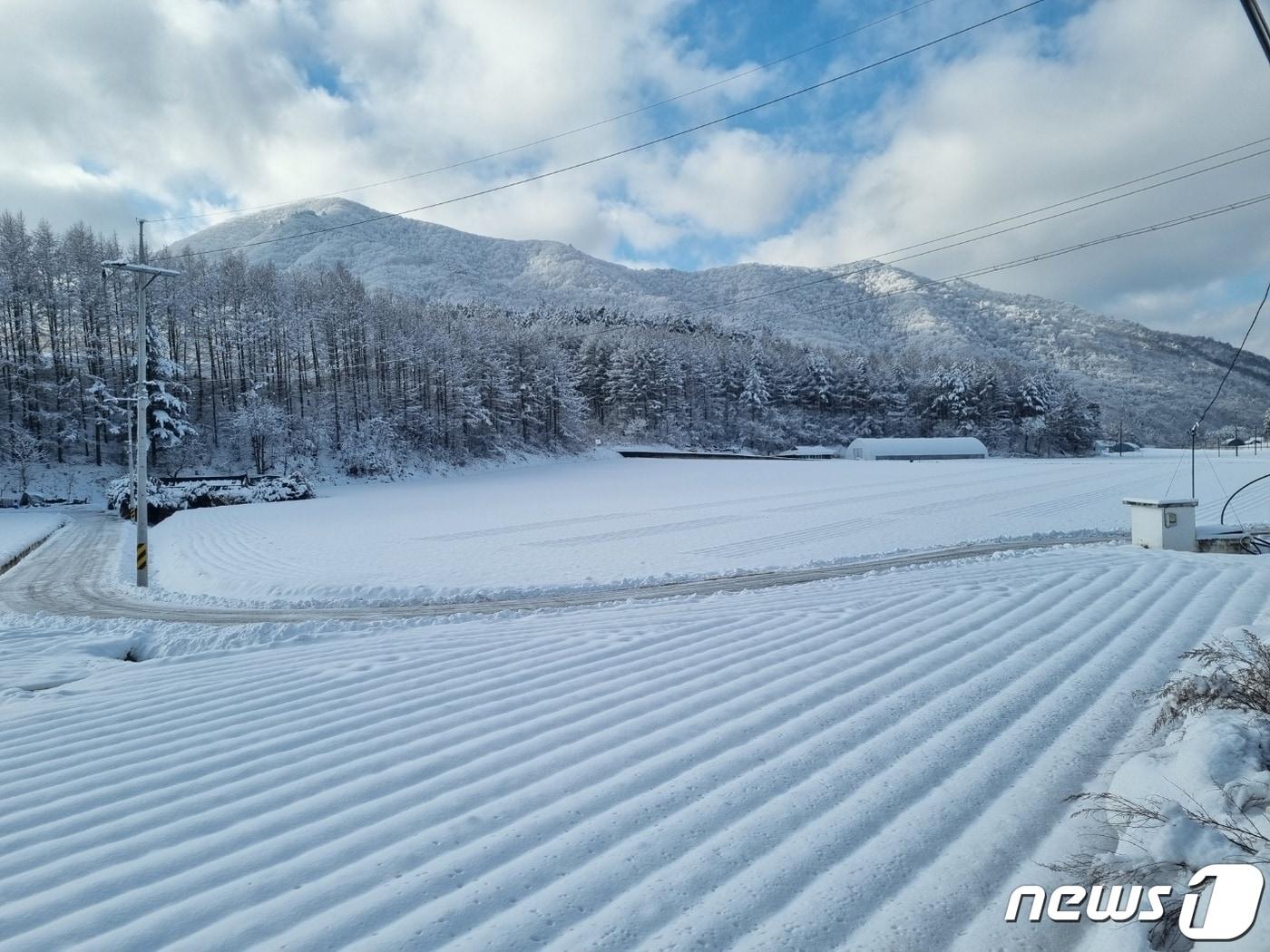 강원 산간지역에 내린 눈 자료사진.