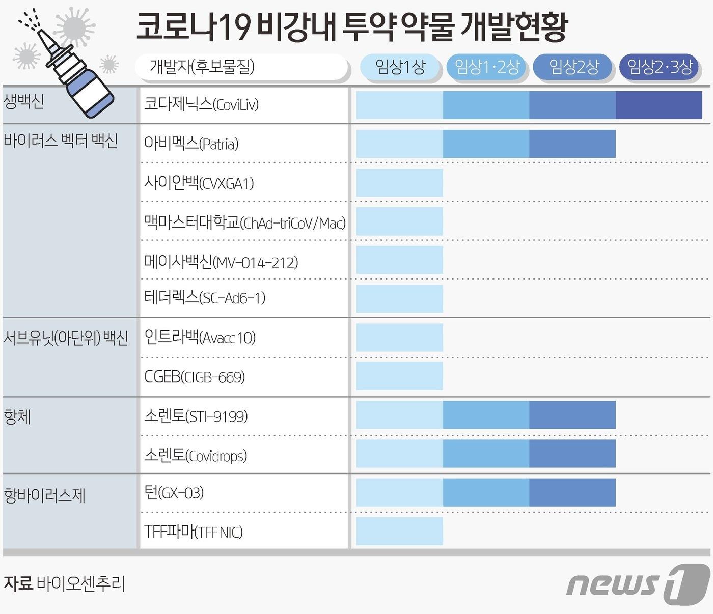 ⓒ News1 김초희 디자이너