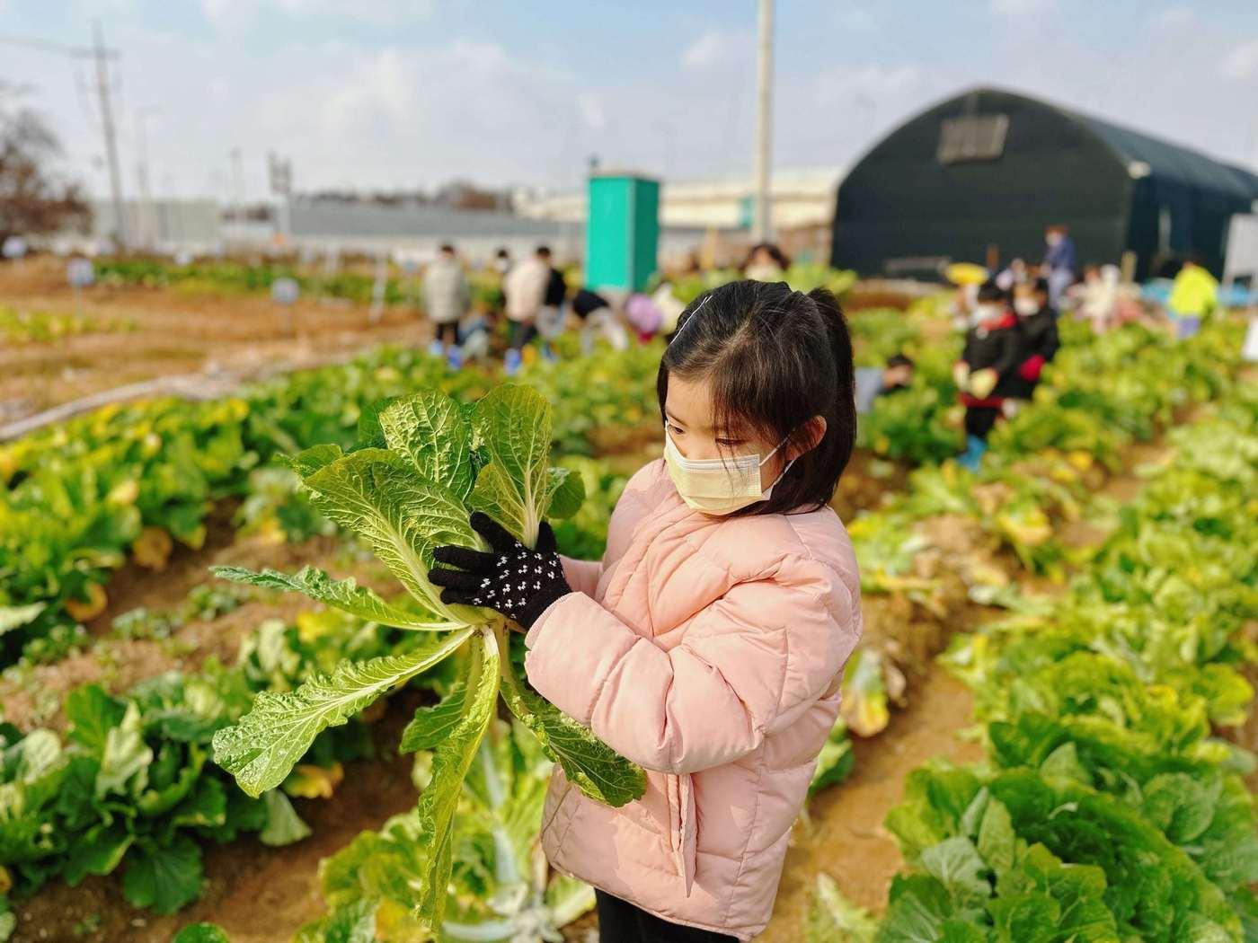 친환경농장에서 아이가 텃밭 가꾸기를 즐기고 있다. &#40;서울시 제공&#41;