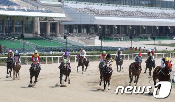 경기 과천 렛츠런파크에서 무관중으로 경마가 진행되고 있다. 2020.6.21/뉴스1 ⓒ News1 송원영 기자