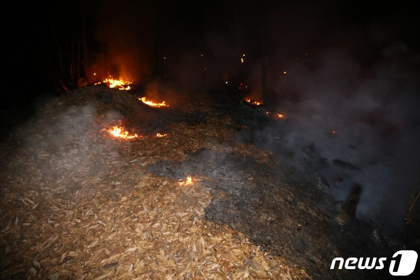 5일 오전 4시37분쯤 경북 문경시 산양면의 한 야산에서 원인 모를 불이 나 소방당국이 진화 중이다.&#40;경북소방본부 제공&#41; / 뉴스1