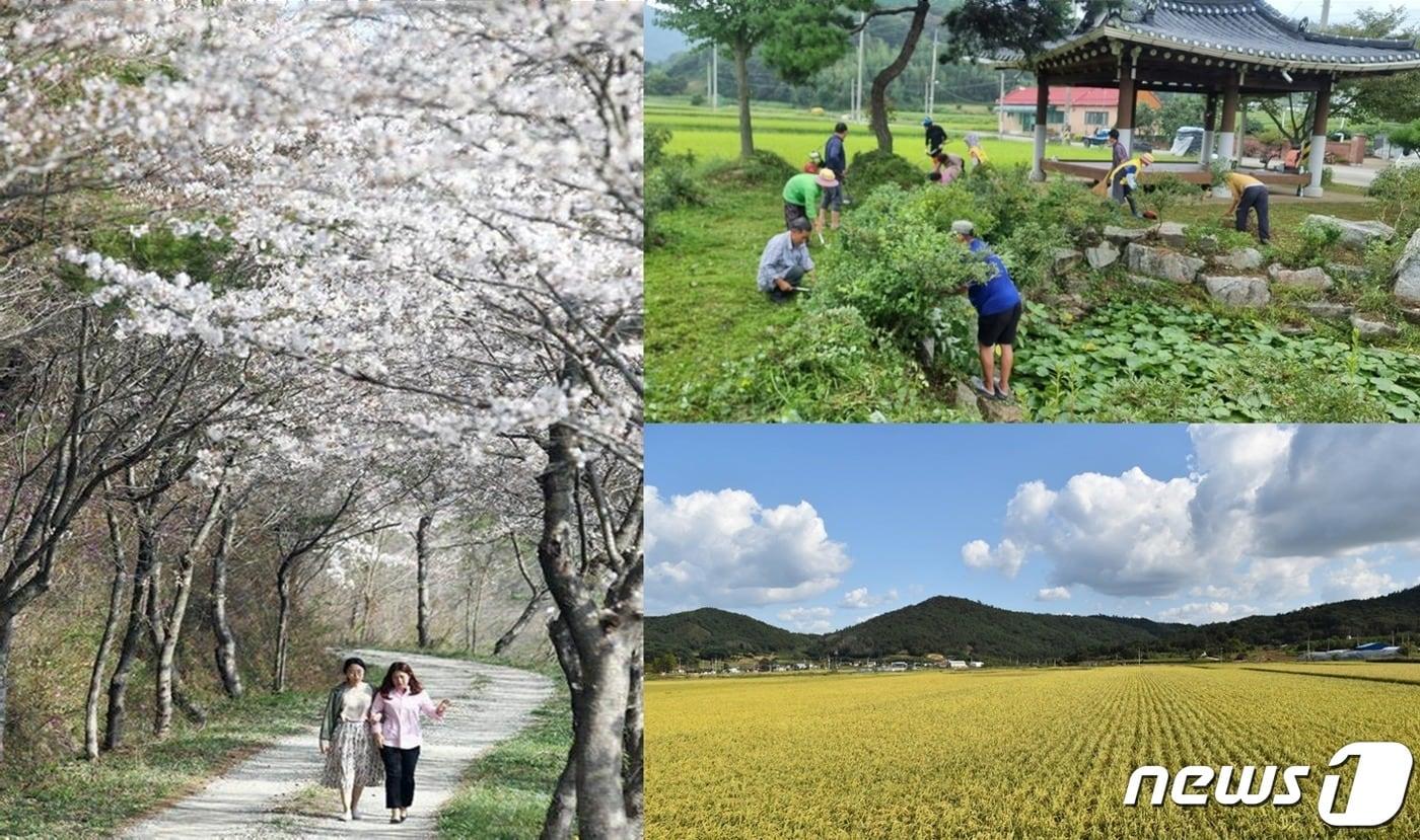 전남도로부터 하반기 유기농 생태마을로 선정된 함평군 신여마을 풍경.&#40;함평군 제공&#41; 2023.10.11./뉴스1