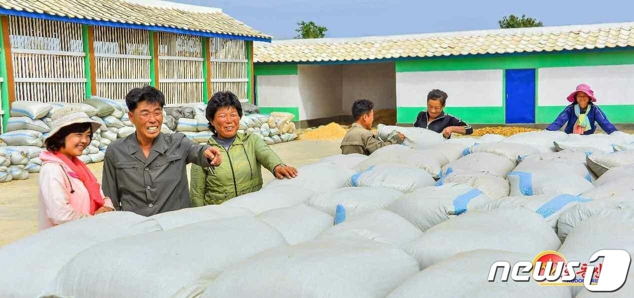 &#40;평양 노동신문=뉴스1&#41; = 북한 노동당 기관지 노동신문은 12일 삼천군 보령농장을 조명하면서 &#34;올해 농사를 성과적으로 결속할 열의에 넘쳐 있다&#34;라고 보도했다. [국내에서만 사용가능. 재배포 금지. DB 금지. For Use Only in the Republic of Korea. Redistribution Prohibited] rodongphoto@news1.kr