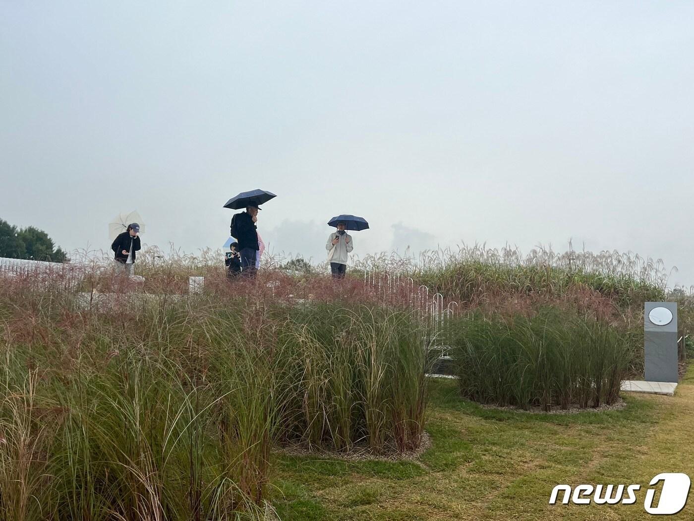 서울억새축제가 열리는 14일 오전 서울 마포구 하늘공원에 시민들이 우산을 쓰고 산책하고 있다.