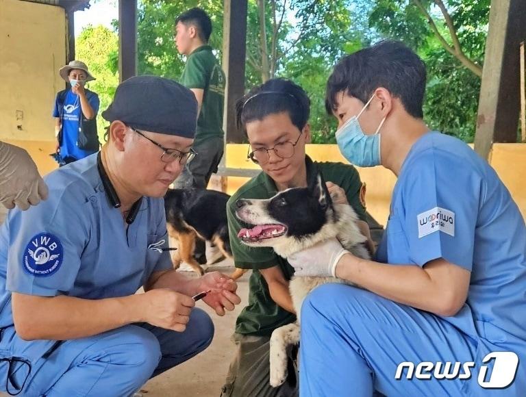 국경없는 수의사회는 베트남 하노이에서 제2차 해외 동물의료봉사를 진행했다.&#40;수의사회 제공&#41; ⓒ 뉴스1