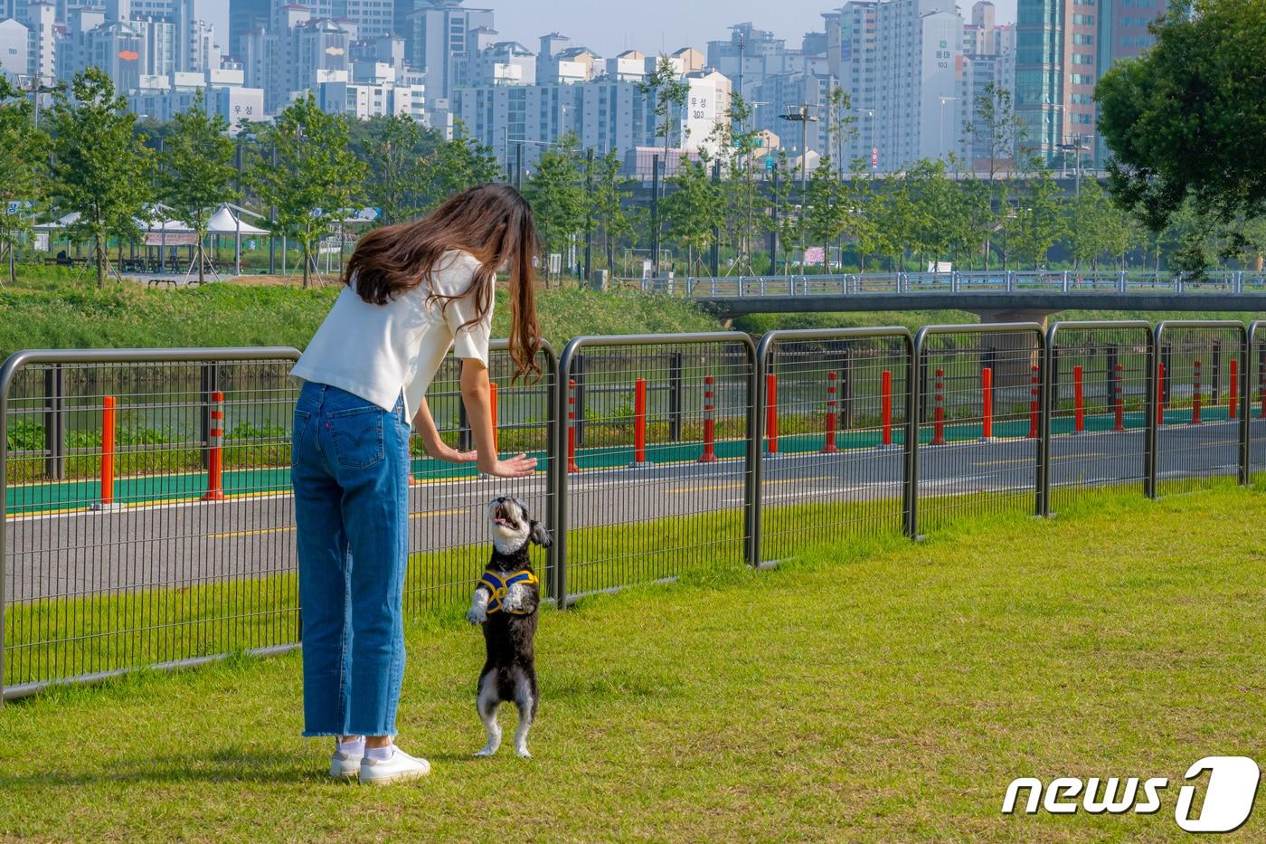 안양천 반려견 쉼터에서 견주와 반려견이 노는 모습&#40;서울관광재단 제공&#41;