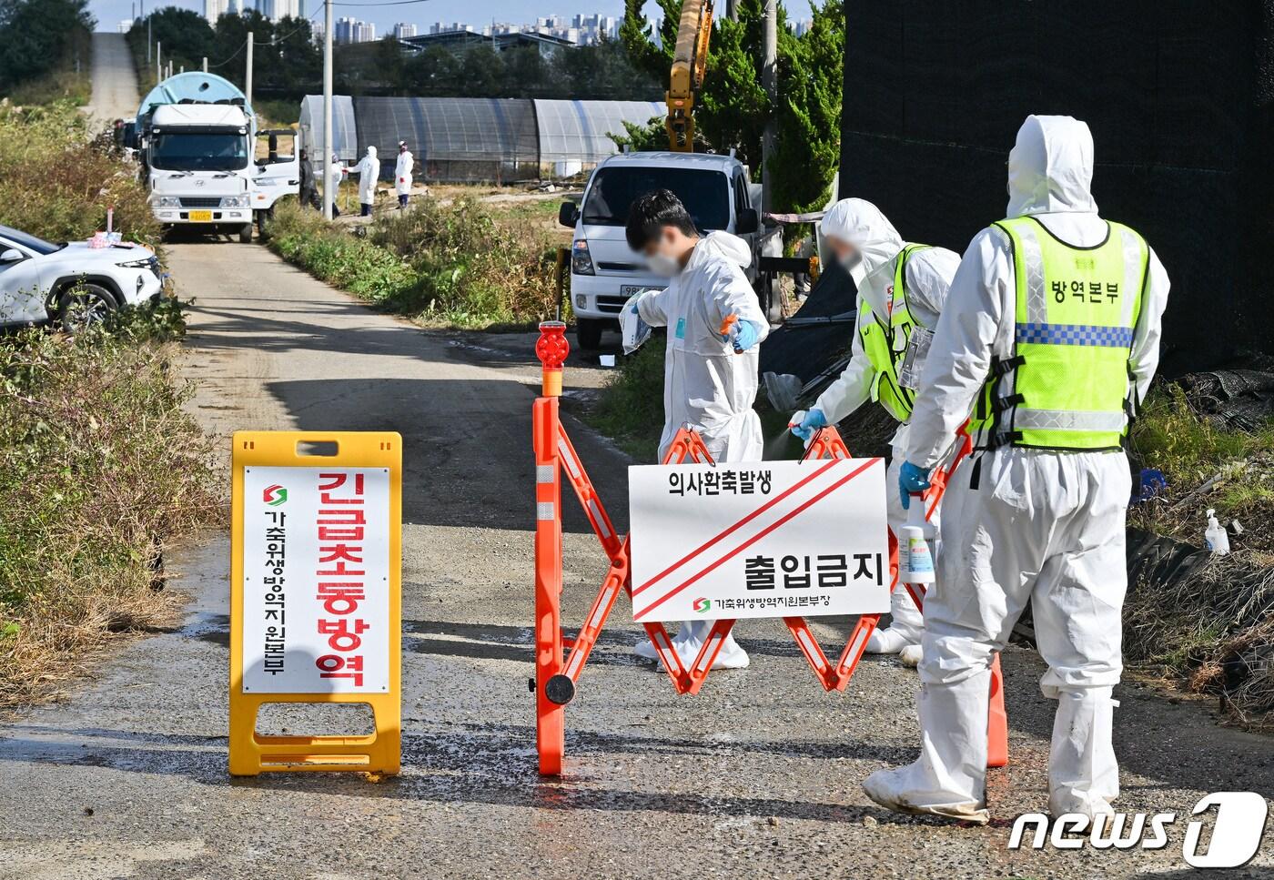 충남 서산에서 국내 첫 소 바이러스성 질병인 ‘럼피스킨병’&#40;Lumpy Skin Disease&#41;이 발생한 지 이틀째인 21일 경기 평택과 충남 당진에서도 확진 사례가 나왔다. 21일 오후 럼피스킨병이 발생한 경기 평택시의 한 젖소 농가에서 관계자들이 출입을 통제하고 있다. &#40;경기일보 제공&#41; 2023.10.21/뉴스1 ⓒ News1 김영운 기자