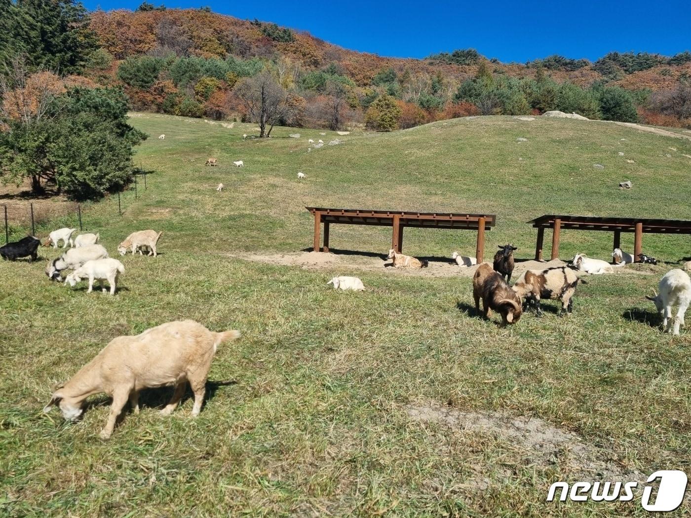 &#40;사진은 기사 내용과 무관함&#41; / 뉴스1 ⓒ News1