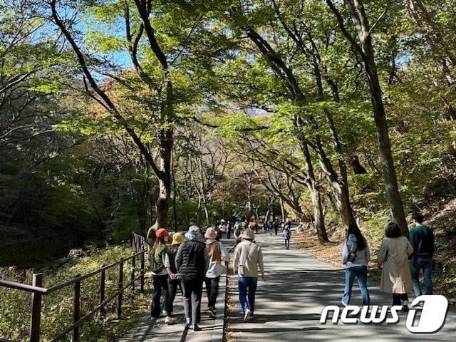  22일 오후 계룡산 국립공원에서 등산객들이 산을 오르고 있다.&#40;계룡산 제공&#41;/뉴스1