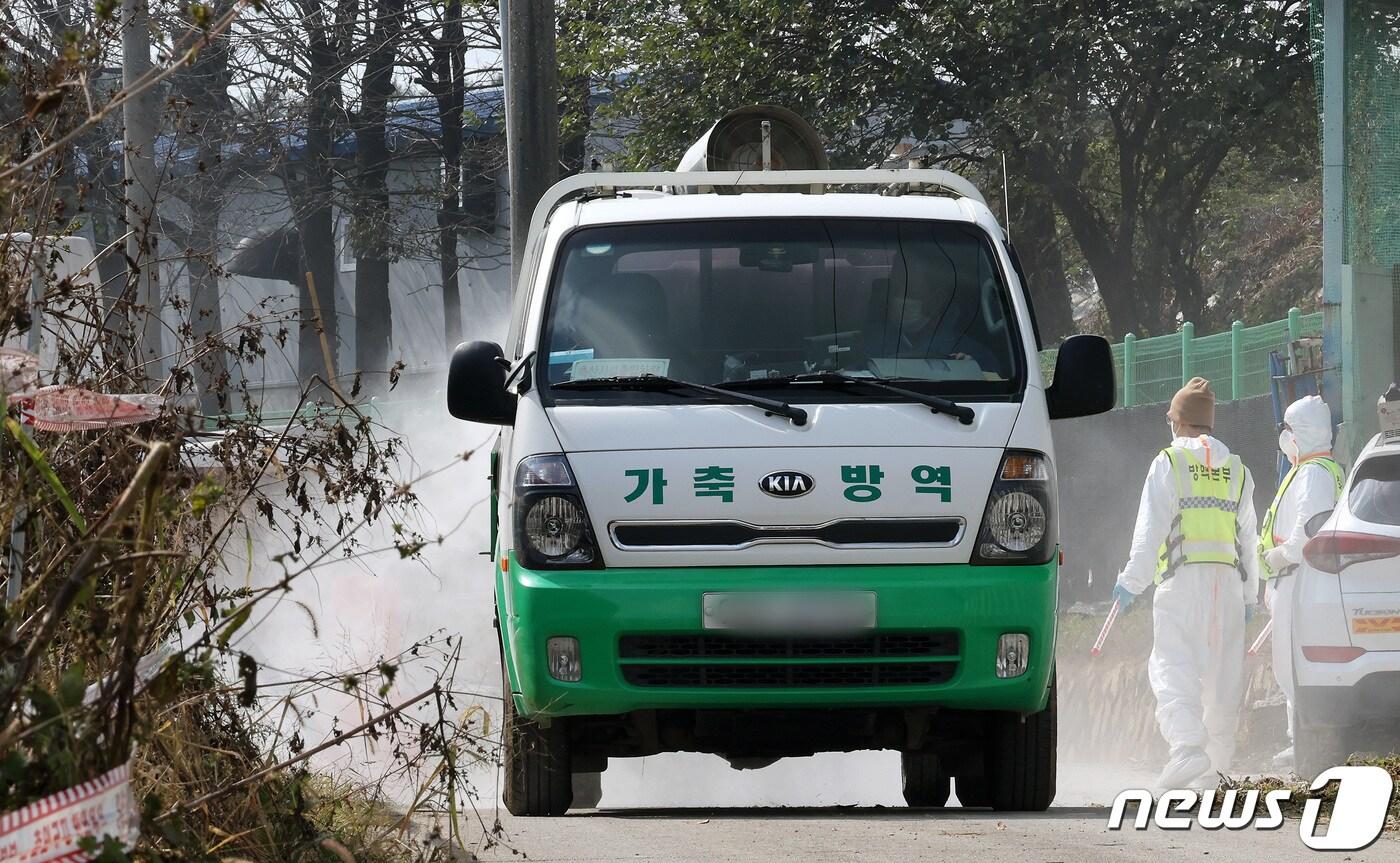 소 바이러스 질병인 럼피스킨병 방역활동.&#40;자료사진&#41;ⓒ News1 DB