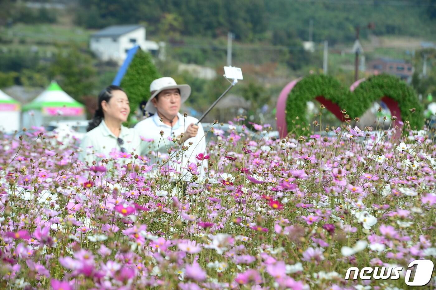 24일 전남 화순군 도곡면 일원에서 열리고 있는 2023 화순 고인돌 가을꽃축제 현장을 찾은 관람객들이 형형색색의 꽃들을 감상하고 있다. 2023.10.24/뉴스1 ⓒ News1 박지현 수습기자