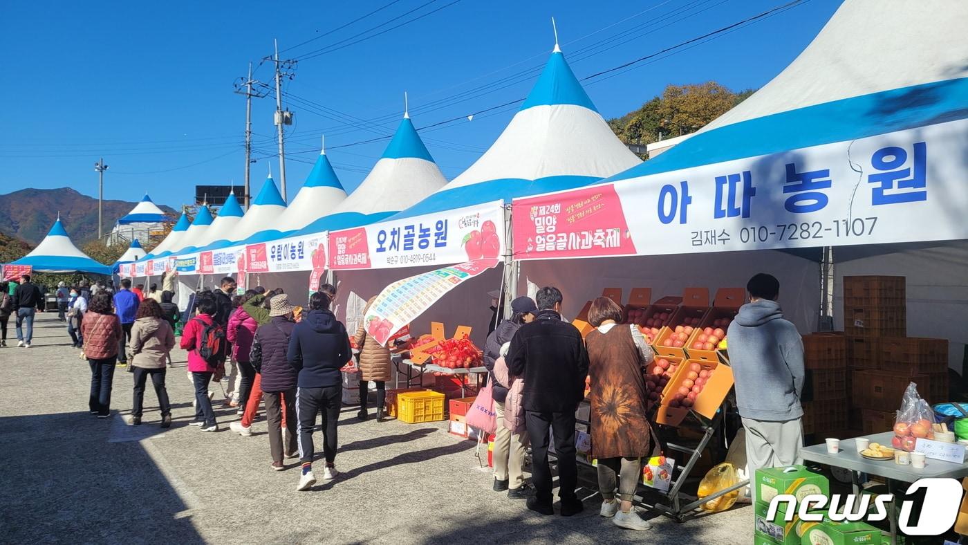 지난해 밀양얼음골사과축제 판매장에서 방문객들이 사과를 구매하고 있다.&#40;밀양시 제공&#41;