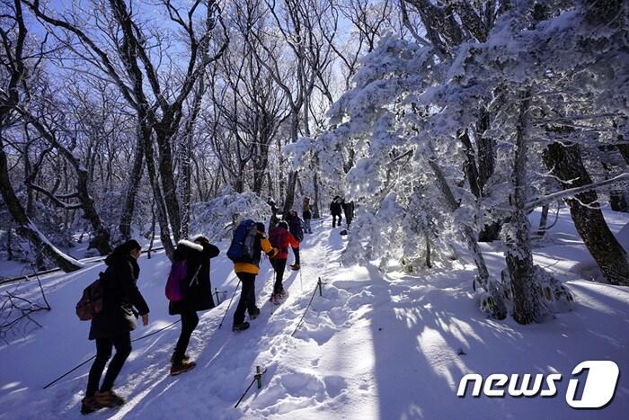 제주도 세계유산본부는 11월1일부터 내년 2월28일까지 동절기 탐방시간을 적용한다고 30일 밝혔다.&#40;제주도청 제공&#41;/뉴스1 