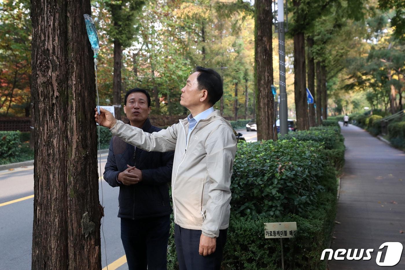 조성명 강남구청장. 2023.10.31/뉴스1 ⓒ News1 이승배 기자