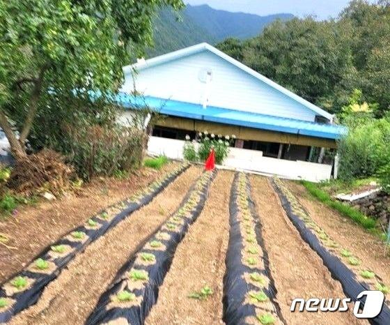 충북 영동양수발전소 건설에 따라 추진하는 군도 7호선 시설도로가 관통하는 한 수몰민 주택 일원. /뉴스1 