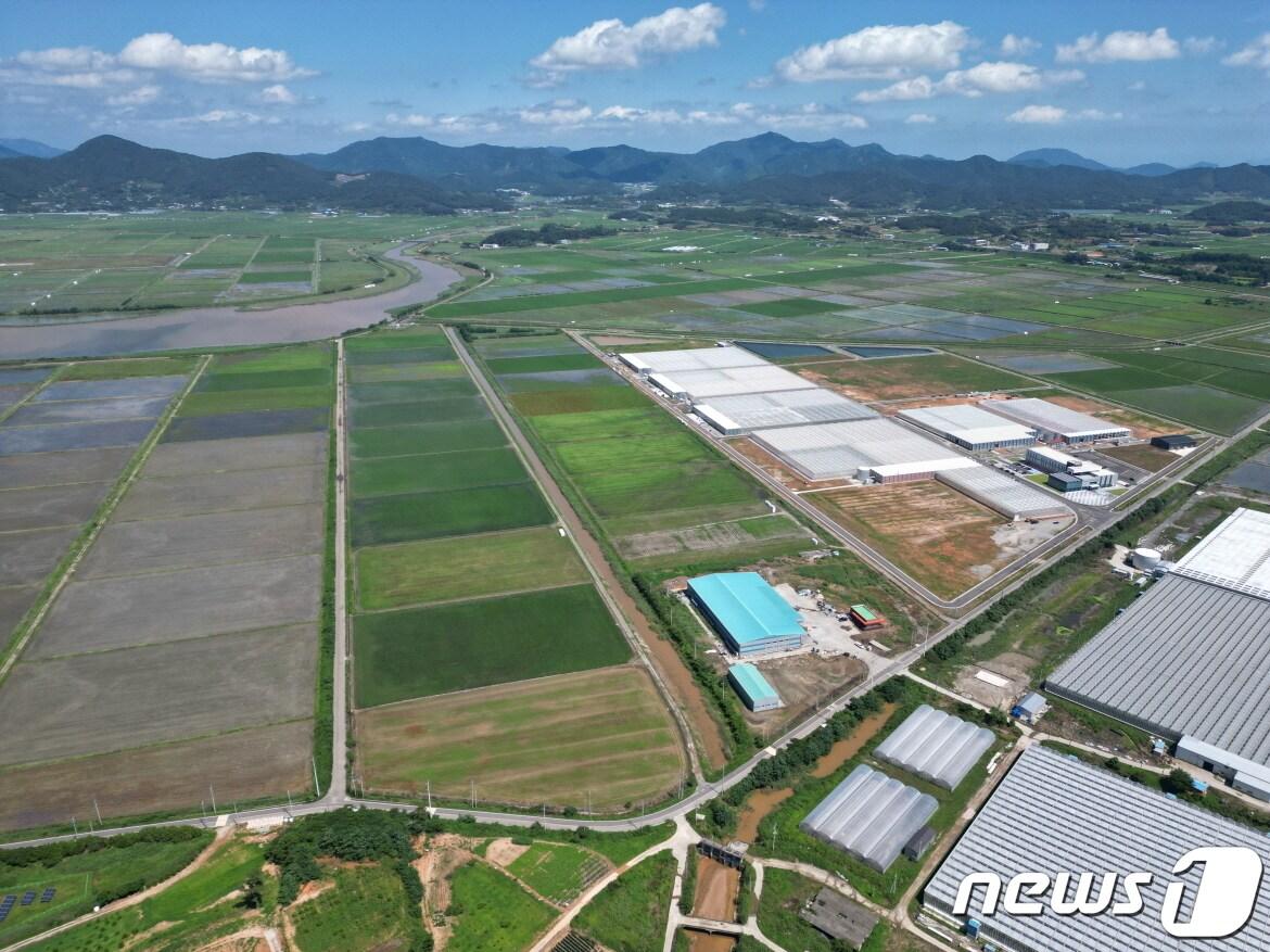 농림축산식품부 주관 &#39;스마트 원예단지 기반조성&#39; 공모 사업이 진행될 고흥만 간척지 전경&#40;고흥군 제공&#41;2023.10.4/