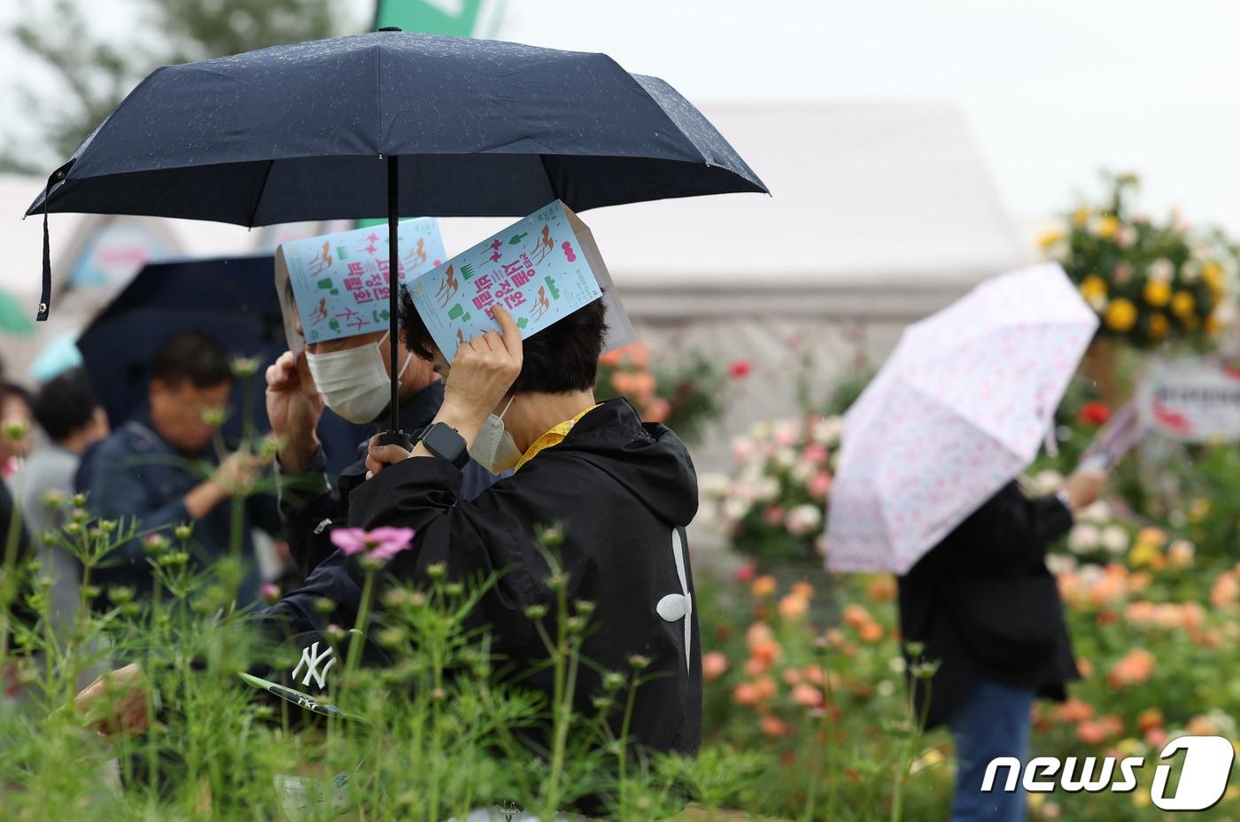 찬 이슬이 맺히기 시작한다는 한로&#40;寒露&#41;인 8일 서울 마포구 하늘공원을 찾은 시민들이 우산을 쓰고 꽃을 구경하고 있다. 2023.10.8/뉴스1 ⓒ News1 김민지 기자