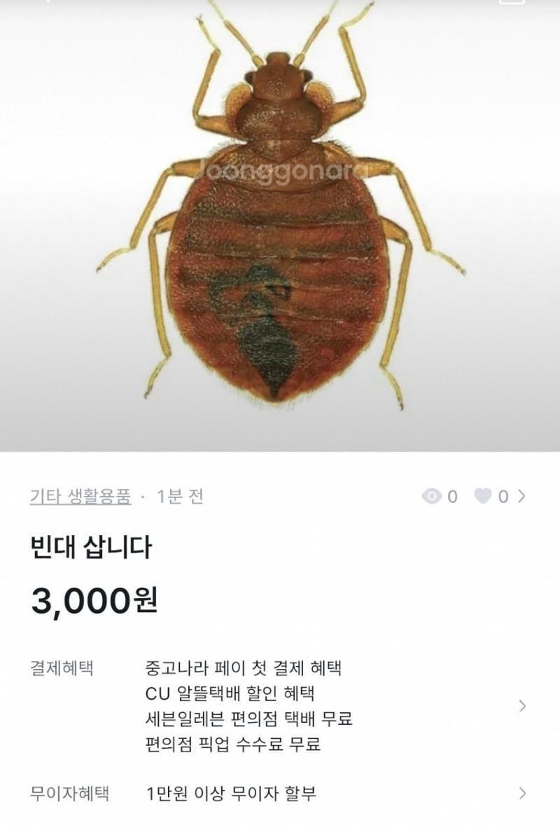 &#40;커뮤니티 갈무리&#41;