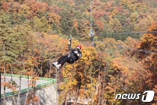 속리산레포츠가 운영하는 집라인. &#40;보은군 제공&#41; /뉴스1