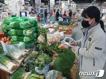 대전보건환경연구원이 김장용 농산물에 대한 잔류농약 검사를 위해 농산물을 수거하고 있다.&#40;대전시 제공&#41;/뉴스1 ⓒ News1 