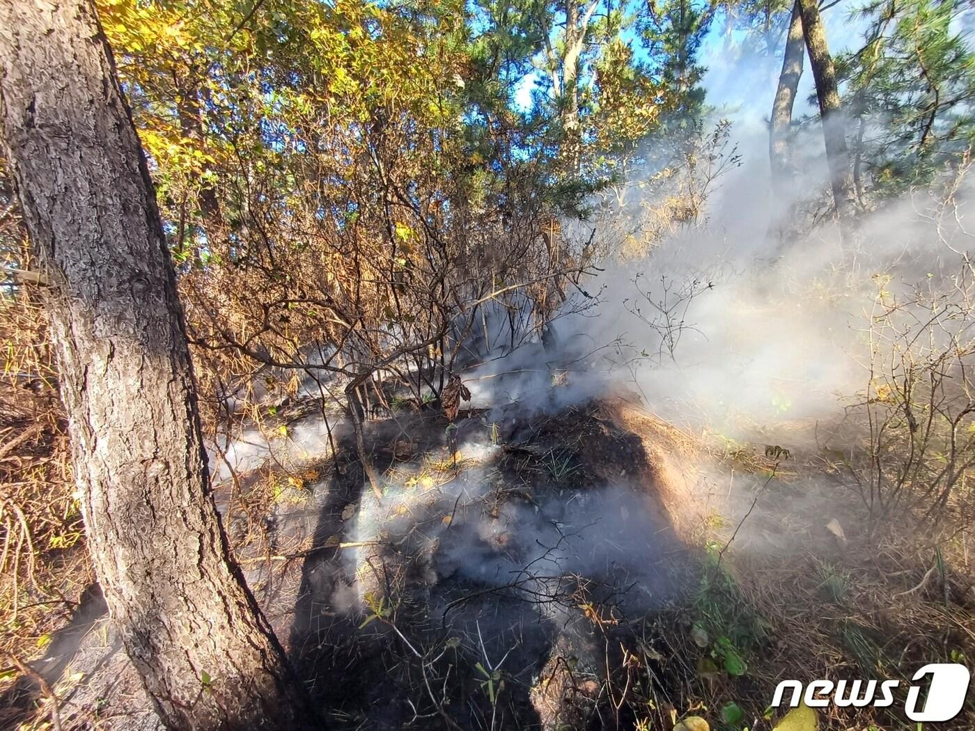 서산 대산읍 산불 화재 현장.&#40;서산소방서 제공&#41;/뉴스1