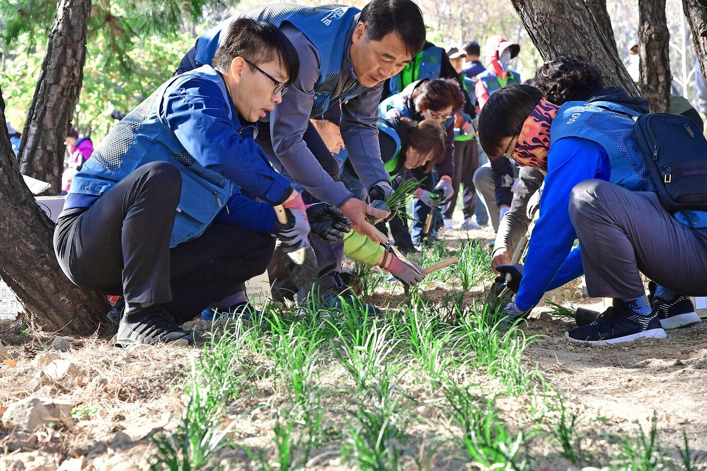 15일 울산 북구문화예술회관에서 열린 현대자동차의 울산숲 연계 프로젝트 &#39;아이오닉 포레스트&#39; 조성 기념식에서 현대자동차 평일봉사단이 식수를 하고 있다.&#40;현대자동차 제공&#41;