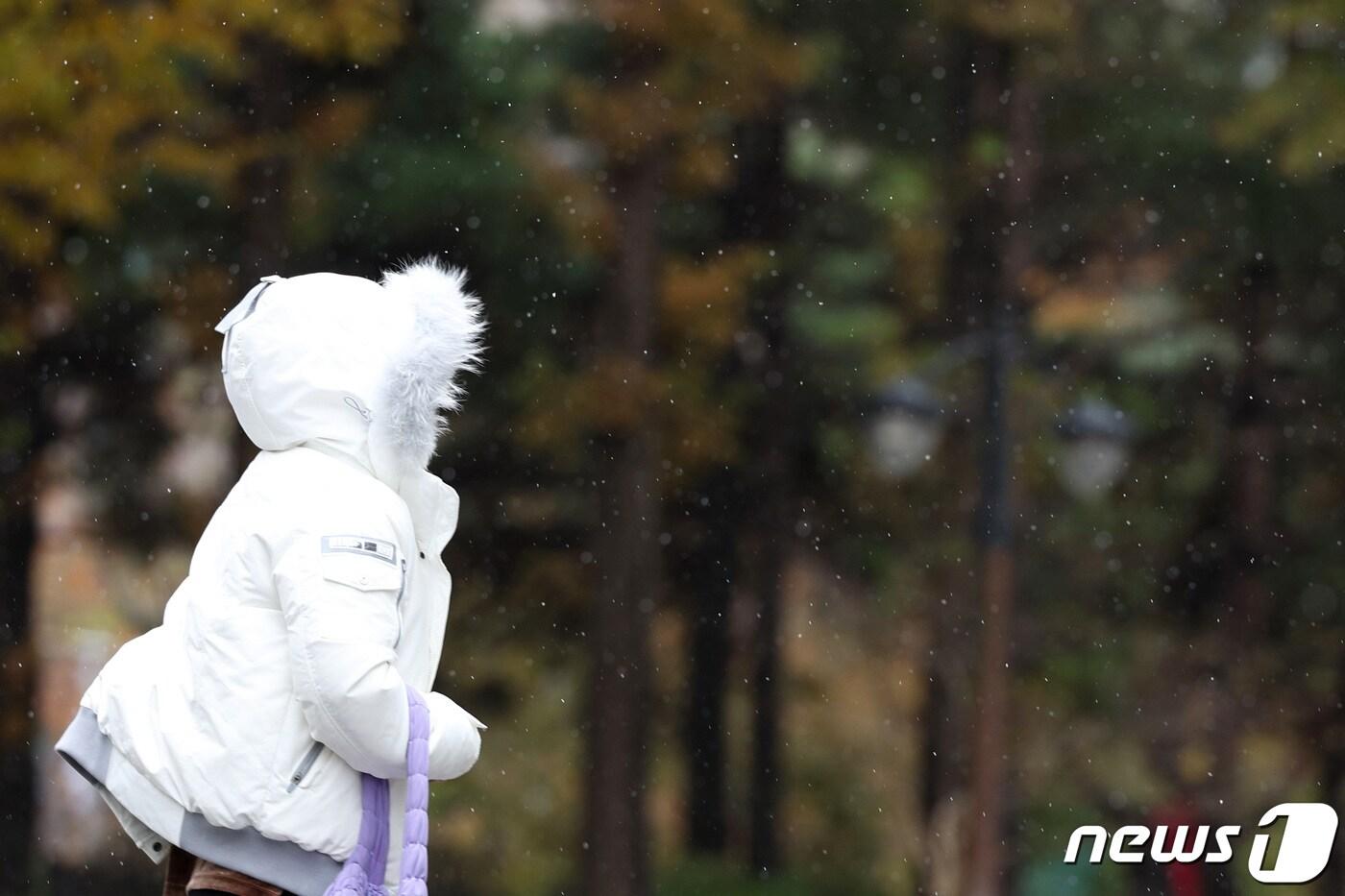 17일 오후 서울 서초구청 인근에서 올해 첫눈이 내리고 있다. 기상청에 따르면 올해 첫눈은 지난해보다 12일, 평년보다는 3일 빠르게 내렸다. 2023.11.17/뉴스1 ⓒ News1 신웅수 기자