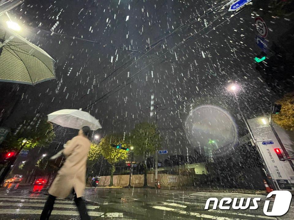 지난 17일 광주 서구 월산동에 올해 첫눈이 내리고 있다. ⓒ News1 김태성 기자