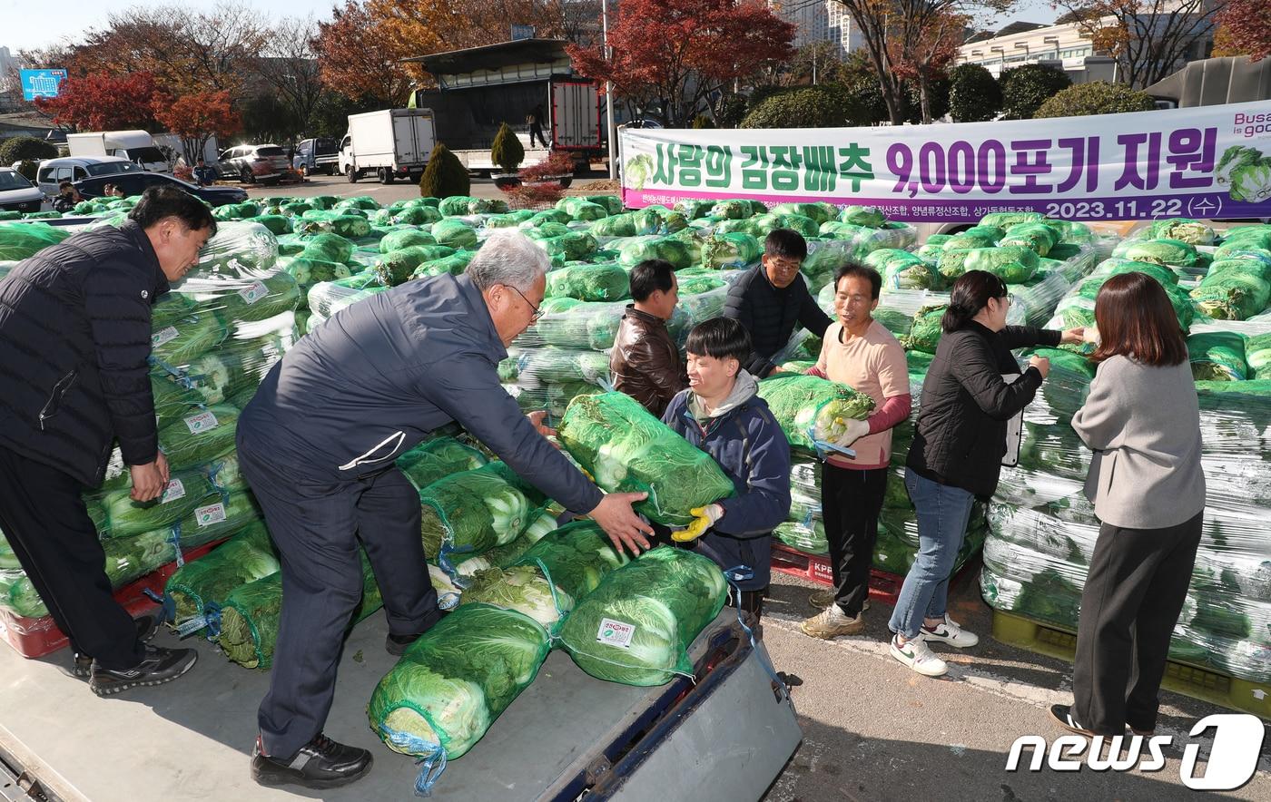 부산 해운대구 반여농산물도매시장에서 이용객이 김장용 배추를 싣고 있다&#40;사진은 기사 내용과 관련 없음&#41;2023.11.22/뉴스1 ⓒ News1 윤일지 기자