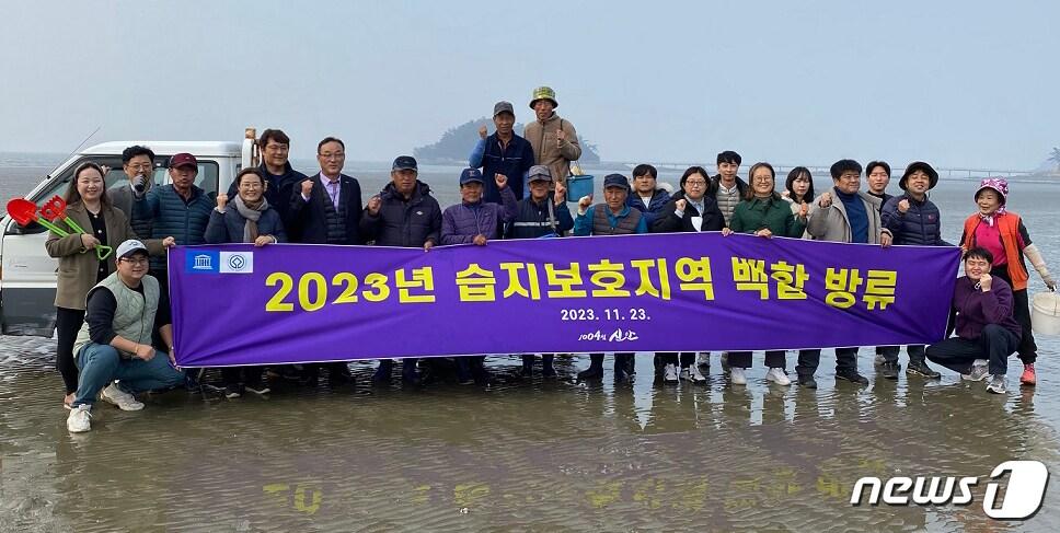 신안 갯벌의 기초생산량 증진을 위해 백합 방류 행사 &#40;신안군 제공&#41;/뉴스1 