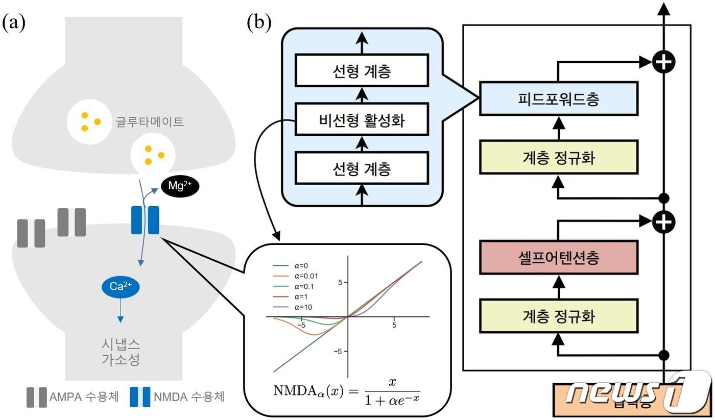 연구 모식도.&#40;IBS 제공&#41;/뉴스1