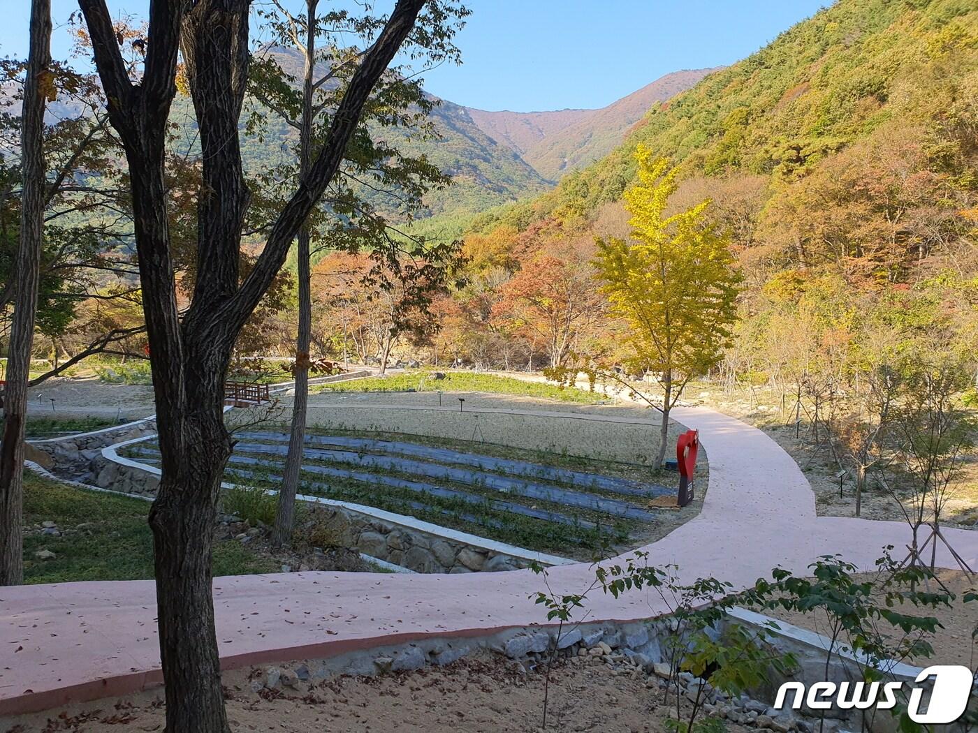 밀양 영남알프스 자연생태체험시설의 약초원 전경.&#40;밀양시 제공&#41;