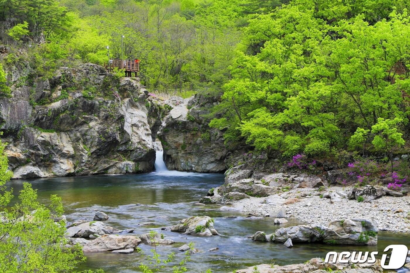 양구 두타연.&#40;양구군 제공&#41;/뉴스1