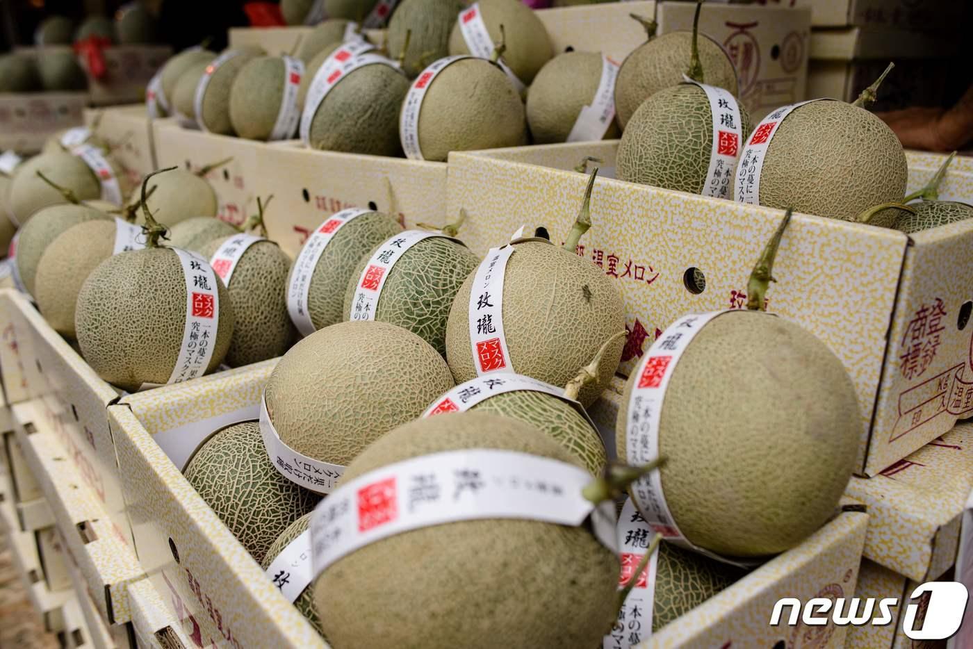 캔탈로프 멜론 &lt;자료 사진&gt;ⓒ AFP=뉴스1