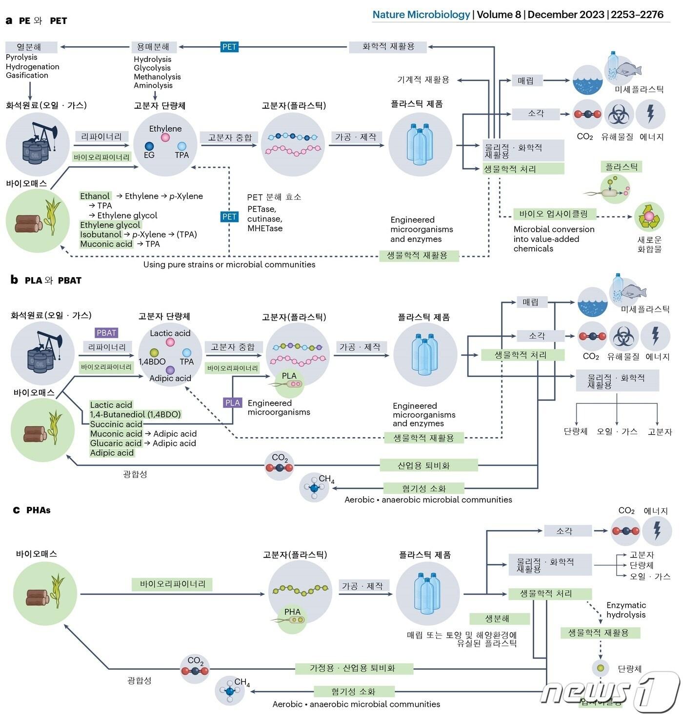 미생물 활용 기술을 포함한 플라스틱 라이프 사이클.&#40;KAIST 제공&#41;/뉴스1