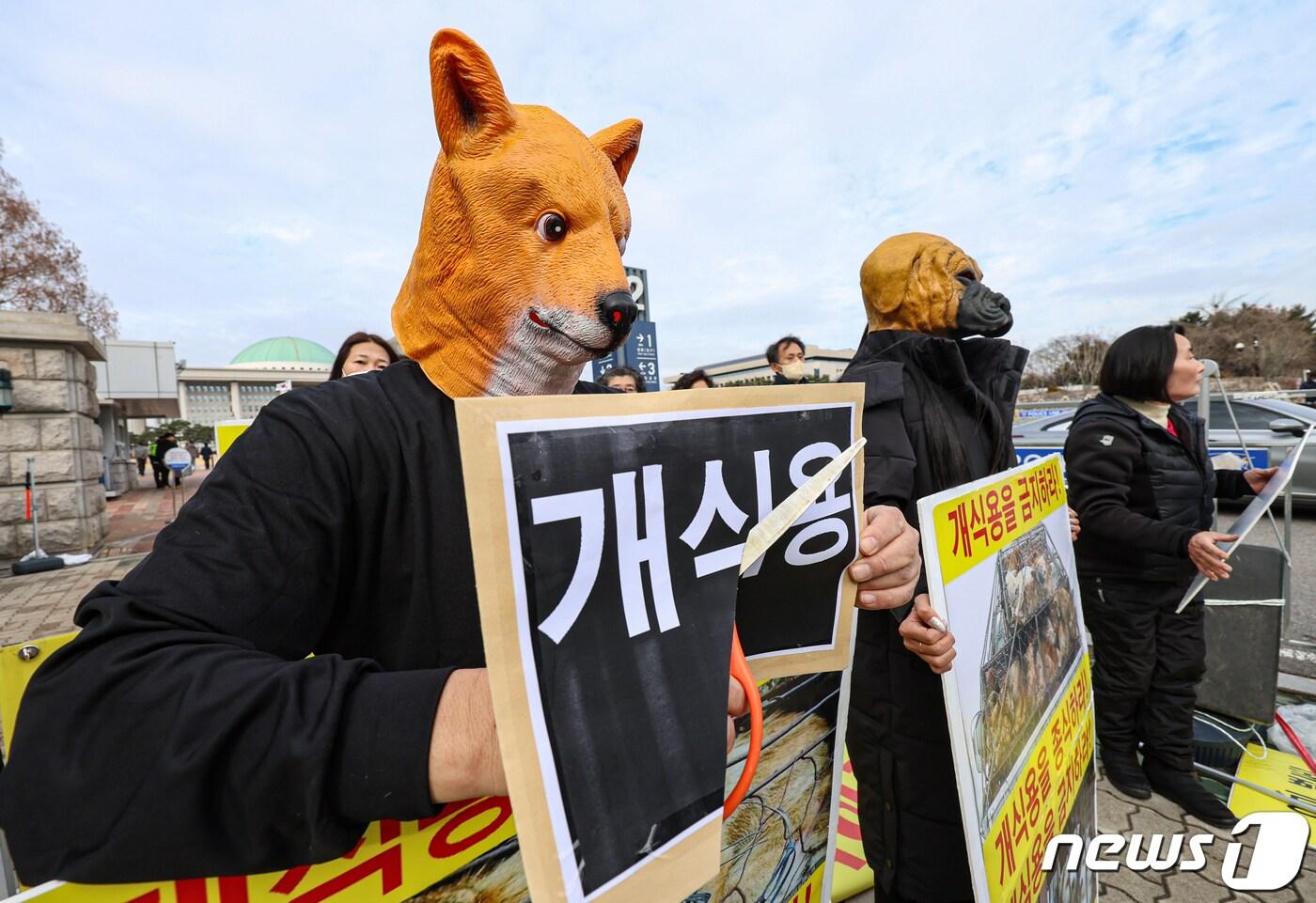 한국동물보호연합 회원들이 지난달 13일 오후 서울 영등포구 국회 앞에서 열린 &#39;개식용 금지법&#39; 국회 농해수위 법안 소위 통과 환영 기자회견에서 퍼포먼스를 하고 있다. 이들은 이날 기자회견에서 지난 12일 국회 농해수위 법안심사소위에서 &#39;개식용 금지 특별법&#39;의 통과를 환영하는 입장을 밝히며 정부와 여당, 야당이 약속대로 12월 국회 본회의에서 &#39;개식용 금지 특별법&#39;을 반드시 통과시켜줄 것을 촉구했다. 2023.12.13/뉴스1 ⓒ News1 김도우 기자