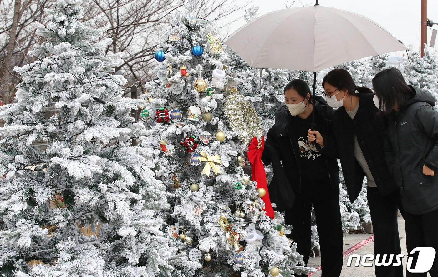 크리스마스가 열하루 앞으로 다가온 14일 대구 남구 대명동 앞산빨래터공원에서 시민들이 크리스마스 분위기를 물씬 풍기는 장식을 감상하고 있다. 대구 남구는 15일부터 빨래터공원에서 &#39;2023 앞산 크리스마스 축제&#39;를 연다. 2023.12.14/뉴스1 ⓒ News1 공정식 기자