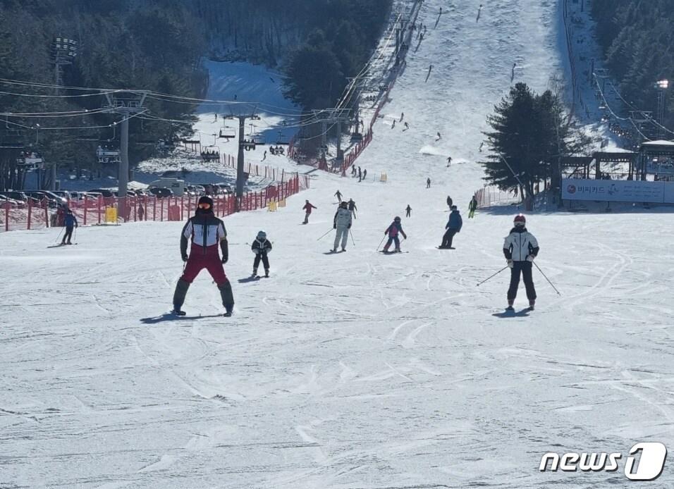 강원 평창 용평리조트 스키장 자료사진. ⓒ News1 