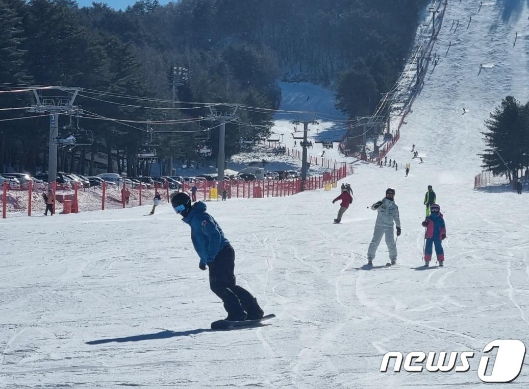 강원 평창군 대관령면 용평리조트 스키장. ⓒ News1