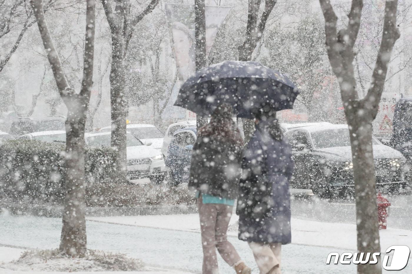 광주와 전남에 많은 눈이 예보된 20일 광주 서구 상무지구에 시민들이 눈을 맞으며 걸어가고 있다.2023.12.20/뉴스1 ⓒ News1 김태성 기자