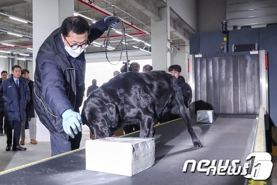 인천 연수구 인천세관 통합검사센터에서 탐지견이 준공식을 맞아 마약류 탐지 시범을 보이고 있다.&#40;인천=뉴스1&#41; 민경석 기자