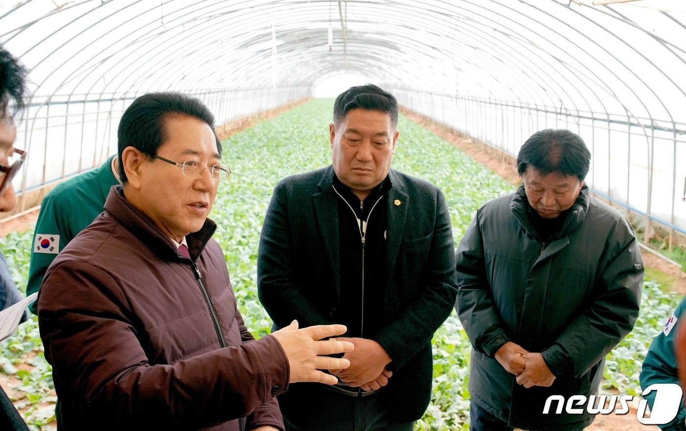 김영록 전라남도지사가 21일 오후 대설·한파 대비 영암군 신북면 시설하우스 단지를 방문, 현장을 둘러보며 현황 점검 및 농민들을 격려하고 있다.&#40;전남도 제공&#41; 2023.12.21/뉴스1