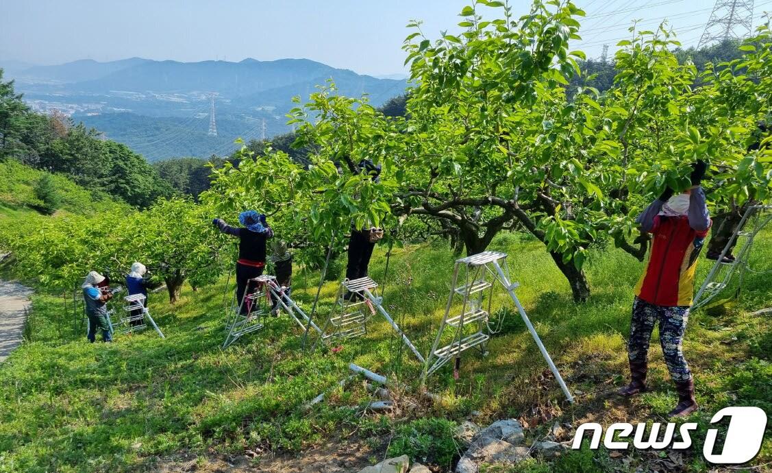 경남 김해시가 내년 농업 혁신을 선도할 창업농 육성 및 농촌 복지 증진을 위한 다양한 지원 사업을 확대 추진한다. &#40;김해시 제공&#41;