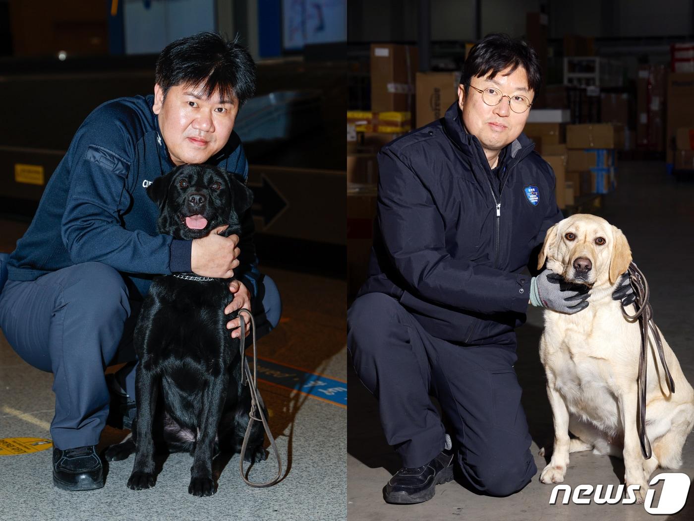 탐지견 에이스&#40;5·래브라도 리트리버&#41;가 탐지조사요원인 박지용 주무관&#40;50&#41;과 인천국제공항 제2터미널 입국장에서 여행객들의 수화물을 검색한 뒤 뉴스1 카메라 앞에 섰다. 오른쪽은 인천공항세관 특송물류센터에서 탐지 활동을 마친 탐지견 이온&#40;2·래브라도 리트리버&#41;과 탐지조사요원 김현욱 주무관&#40;50&#41;. ⓒ News1 안은나 기자